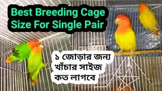 Love Bird Best Cage Size For Single Pair