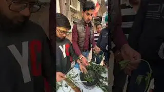 Mahashivratri Bhang🌿✈️