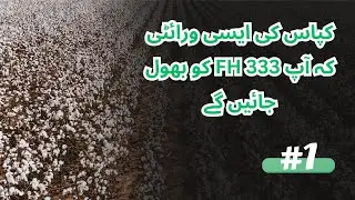 Cotton seed variety 2023 | New cotton seeds best quality 2023| Farmers Meetup series | Part 1