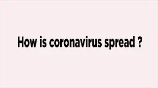 How is coronavirus spread?