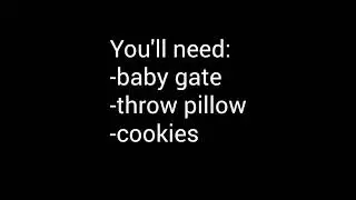 At Home Puppy Socialization: Weird Textures and Wobbly Surfaces