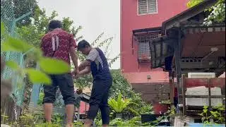 HYDROPONIC PLANTING PROGRAM POWERED BY SOLAR ENERGY PREPARATION.