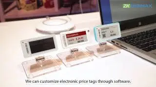 ZKDigimax Digital Price Tag | Electronic Shelf Label (ESL)