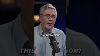 Was there a mass extinction at the end of the Ice Age?