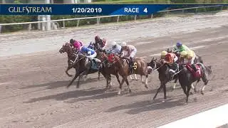 Gulfstream Park Carrera 4 - 20 de Enero 2019