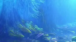 Lluvia ligera en el bosque &ndash; Sonidos naturales para relajarte | Calmverse.