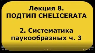 Зоология беспозвоночных. Лекция 8. Подтип  CHELICERATA. Систематика паукообразных ч. 3