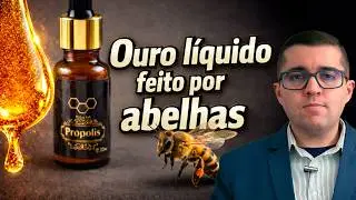 10 efeitos da própolis na saúde: +300 compostos bioativos em 1 única gota. Como usar da forma certa?