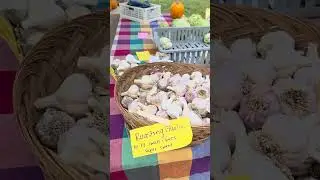 Sanford Maine #farmers #market #friends #food #local #healing #healthly #transformation #free #safe