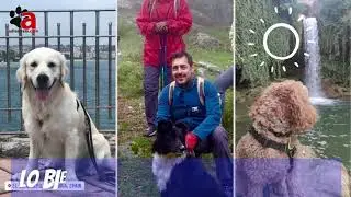Verano Canino 2021