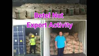 Indonesia young betel nut quality export - Hen's Co.