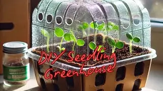 Spring Garden Update 2025 | DIY Seedling Greenhouse from Upcycled Materials + Special Deals!