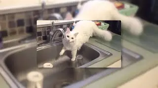 Twenty one Pilots - Kitchen Sink // sped up + reverb