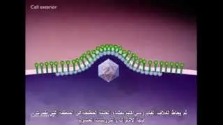 Mechanism for Releasing Enveloped Viruses (Animation) الية تحرر الفايروسات المغلفة