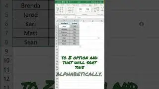 How to Sort Alphabetically in Excel