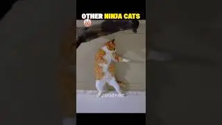 Other ninja cats VS Last one 💀 #shorts
