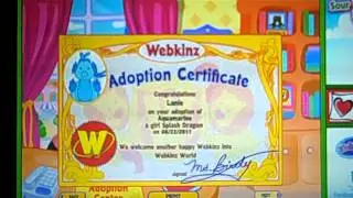 Splash Dragon Adoption! First August Pet!