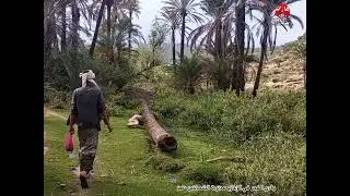 تعرف اكثر عن وادي الفجر في الزعازع 