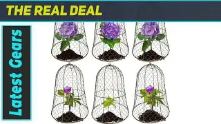 Chicken Wire Cloche: Ultimate Plant Protector?