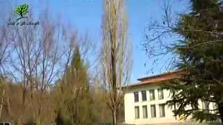 Noi e gli Alberi   puntata4