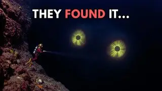 100 Sleepy Facts About the Deep Sea