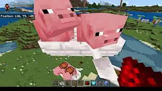 Minecraft Science: Allay questions
