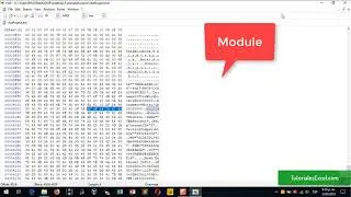 Seguridad en Excel VBA - Módulos Ocultos
