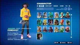 Fortnight just more skins i have