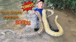 Part 3: The brave hunter team helps the young man escape the attack of two giant snakes