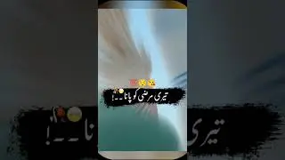 Bas jhuka hai ye sir #islamicvideo #islamicshorts #shortvideo