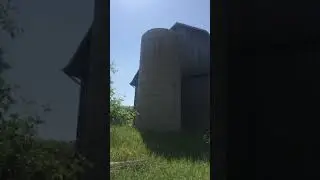 The Official Amnesty Freedom Farm
