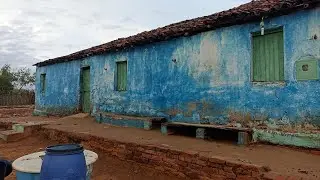 Depois da chuva 🌧️ olha como ficou/ Sítio Mamoeiro Verdejante PE 