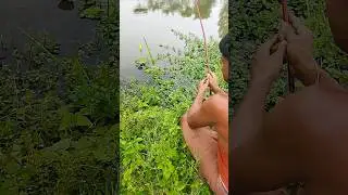 Amazing best fishing video #shorts #fishing #hook fishing