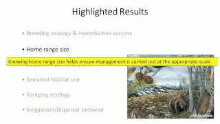 Key Considerations for Managing the Clark's Nutcracker-Whitebark Pine Mutualism