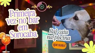 Primeira vez em um bar em Sorocaba 🍻 + O Raj nos deu um susto 🐕 - Vlogão