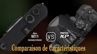 Leica M11 Monochrome vs. Pentax KP: Une Comparaison de Caract&eacute;ristiques