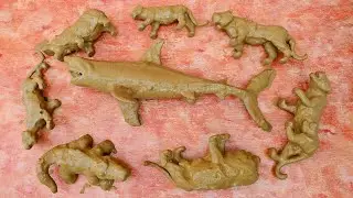 Muddy Wild Animals Defeat Big Shark and Safari, Zoo Animals Fun for Kids!