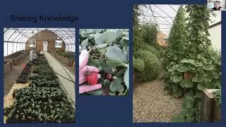 Expo 2021: Patti Armbrister - Optimal Plant Health in High Tunnels