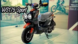 Italika Ws175 Sport |2025| La TODO TERRENO