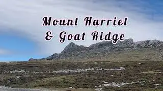 Mount Harriet & Goat Ridge January 2023