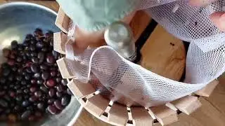 Extended family makes their own juice