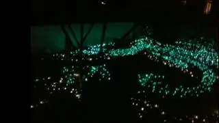 10,000 points of fiber optic lighting on the floor of swimming pool at Banjar