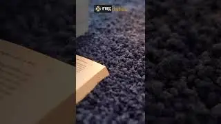 Indulge in Comfort Shaggy Rug Collection by Rug Dubai