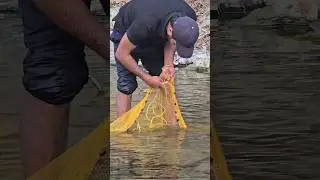 आखिर एक मछली मिल ही गया !!! Group Fish Catching In Coldest Pond !! #shorts #fishing