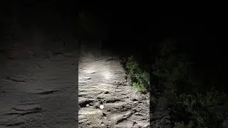 Omg 😱 haunted road