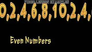 Videos Example