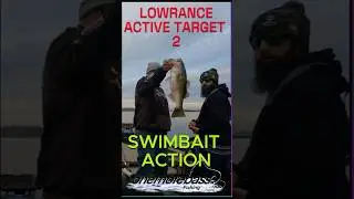 Catching a Big Bass LIVE in a Tree Using Lowrance Active Target 2 #fishing  #forwardfacingsonar