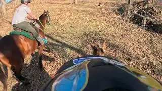 Flying the Bird pt 2 1/12/26