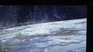 Hanging out (on a rock) in the pollet river nb