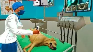 Virtual Pet Doctor Simulator #2 || Android IOS Gameplay For Kids